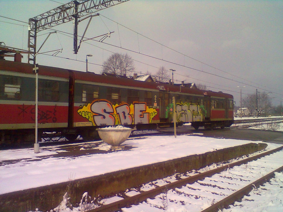 Graffiti Train - Photo by nike1984 - SBE (2013)