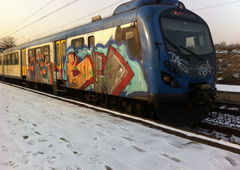 Photo #79181 by RomekOne