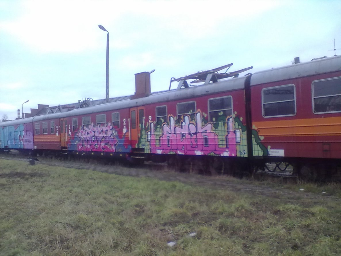 Graffiti Train - Photo by nike1984 - Hoib, Dme, Wert (2013)