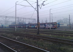 Photo #79203 by Sunshine