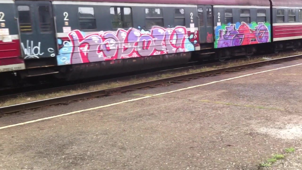 Graffiti Train in Poland - Photo by nike1984 - Wild (2014)