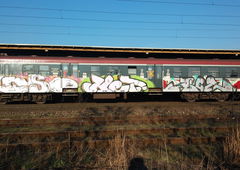 Photo #142900 by Sampler