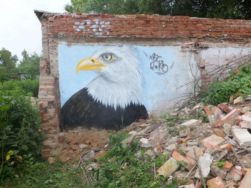 Graffiti Wall in Letschin - Photo by noc - eagle, noc, character (2013)