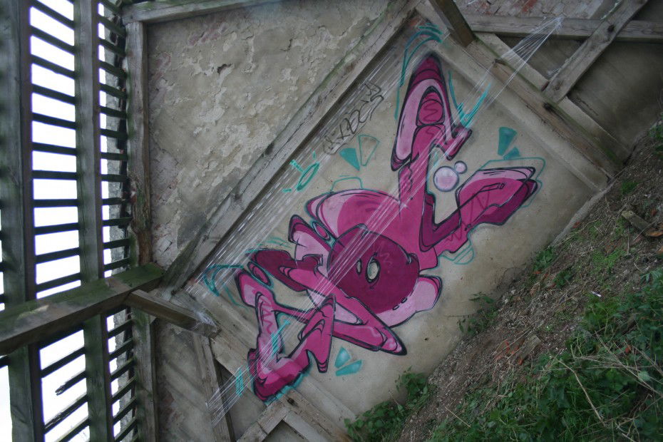 Graffiti Wall in letschin - Photo by noc - noc, pink, style (2013)