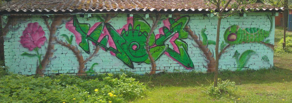 Graffiti Wall in Letschin - Photo by noc - noc, caterpillar, rose (2013)