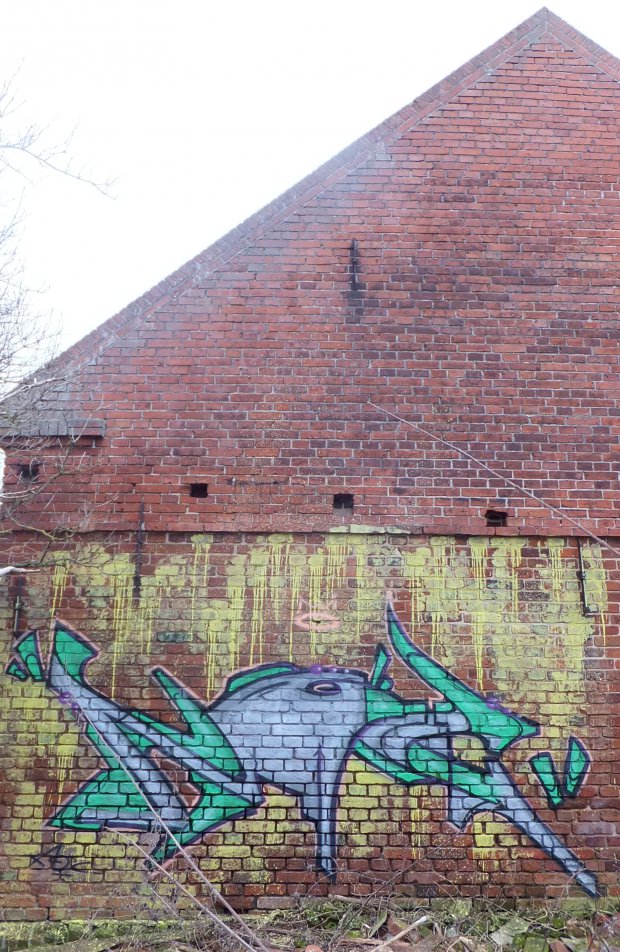 Graffiti Wall - Photo by noc - noc, style, green (2014)