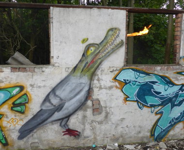 Graffiti Wall - Photo by noc - noc, character, crazy (2014)
