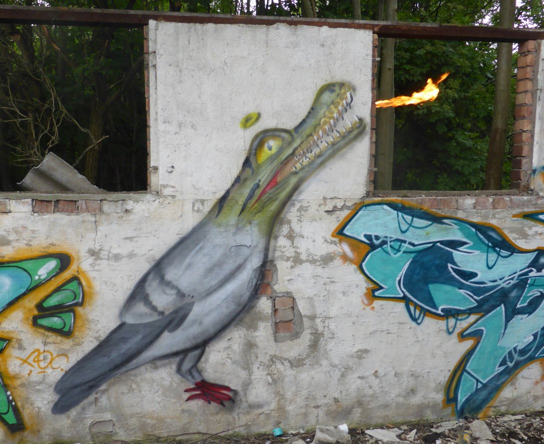 Graffiti Wall - Photo by noc - noc, character, crazy (2014)