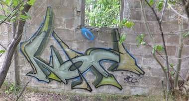 Graffiti Wall - Photo by noc - noc, green, nature (2014)