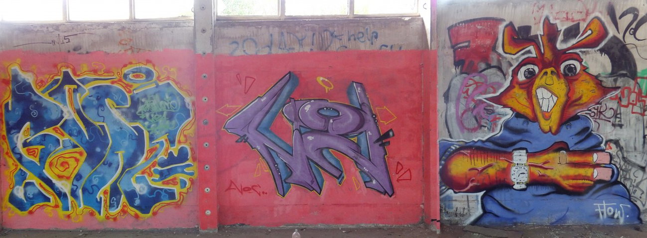 Graffiti Wall - Photo by noc - (Royal)-Bone, noc, flow (2014)