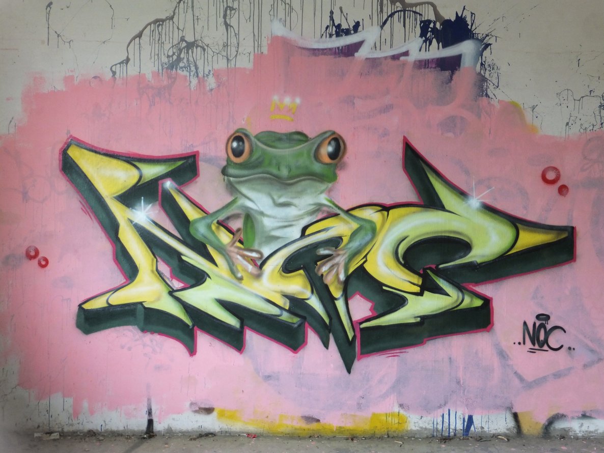 Graffiti Wall - Photo by noc - frog, noc, style (2014)