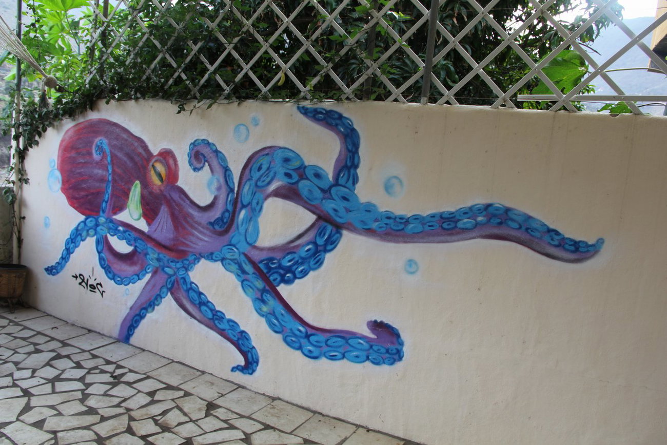 Graffiti Wall - Photo by noc - gomera, 2014, noc (2014)