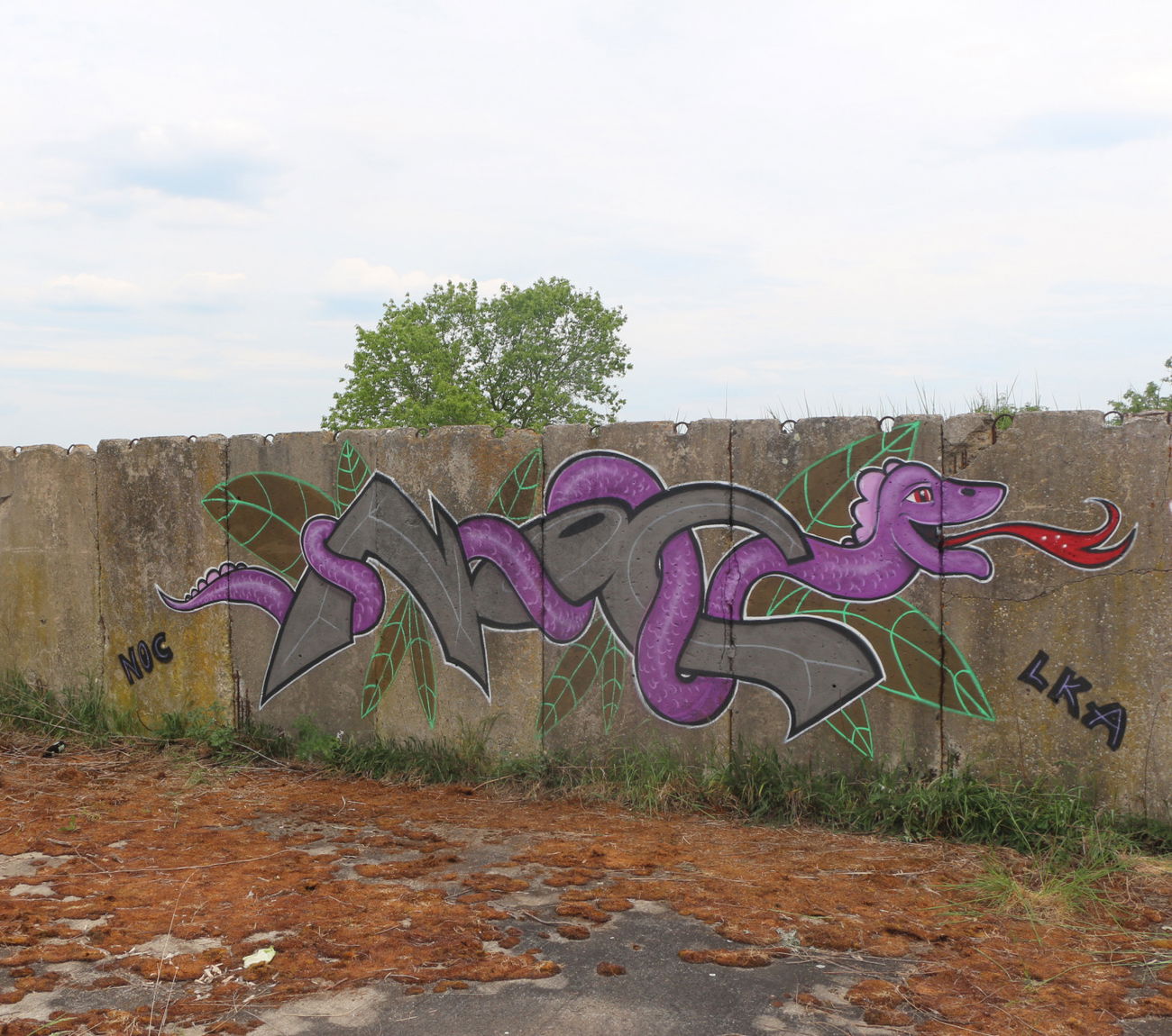 Graffiti Wall - Photo by noc