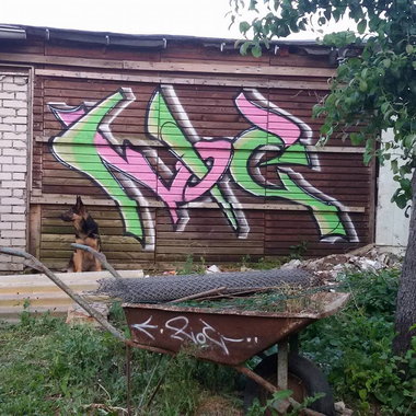 Graffiti Wall - Photo by noc - dog, garden, session (2015)