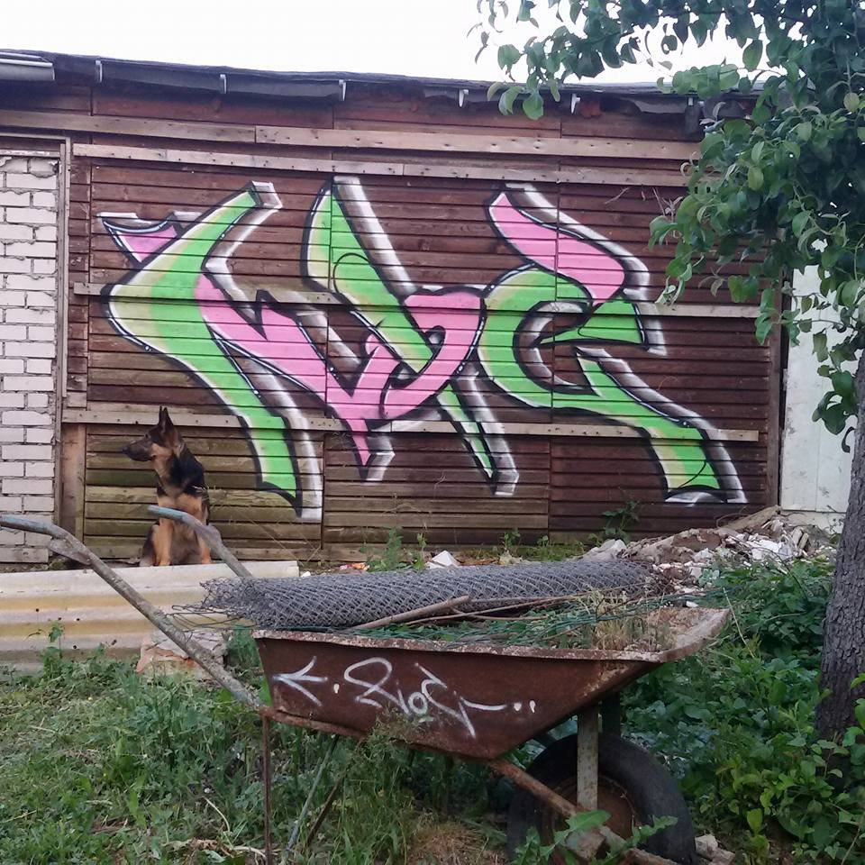 Graffiti Wall - Photo by noc - dog, garden, session (2015)