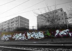 Photo #178558 by Schandiztat