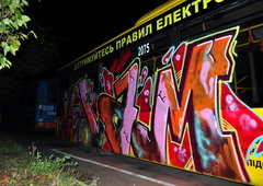 Photo #76305 by Homs