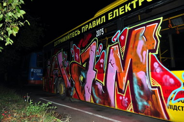 Graffiti Train - Photo by nomer - nomer, zhitomir, trolley (2013)