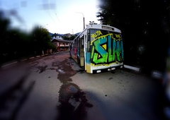 Photo #98310 by Homs