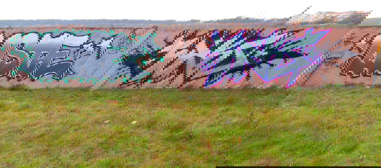 Graffiti Wall - Photo by note - note, torks (2013)