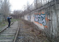 Photo #106306 by Mustard42