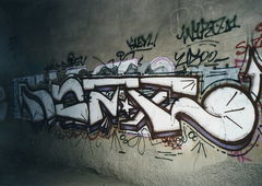 Photo #106403 by Nets1