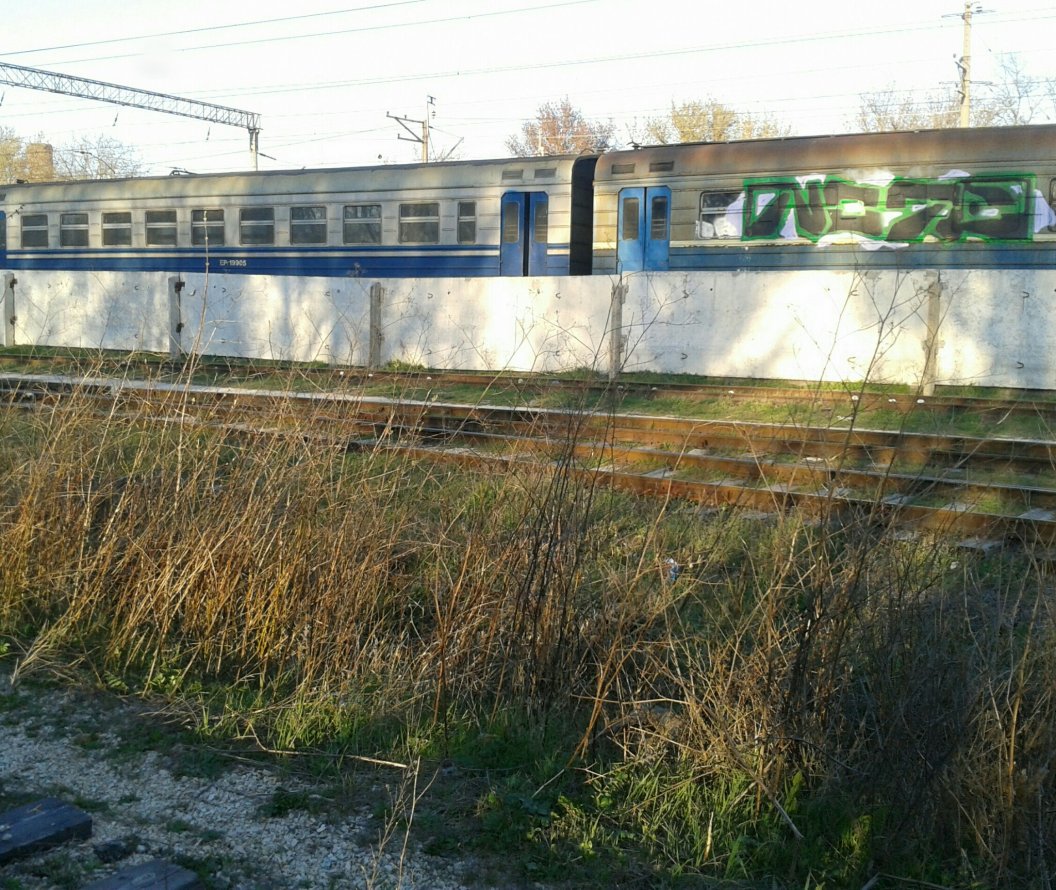 Graffiti Train - Photo by note - Panel, train, rvr (2013)