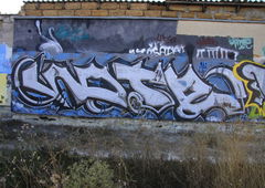 Photo #113227 by Nets1