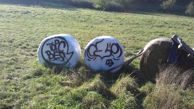 Graffiti Artwork - Photo by notyourdarling - topc, bes (2014)