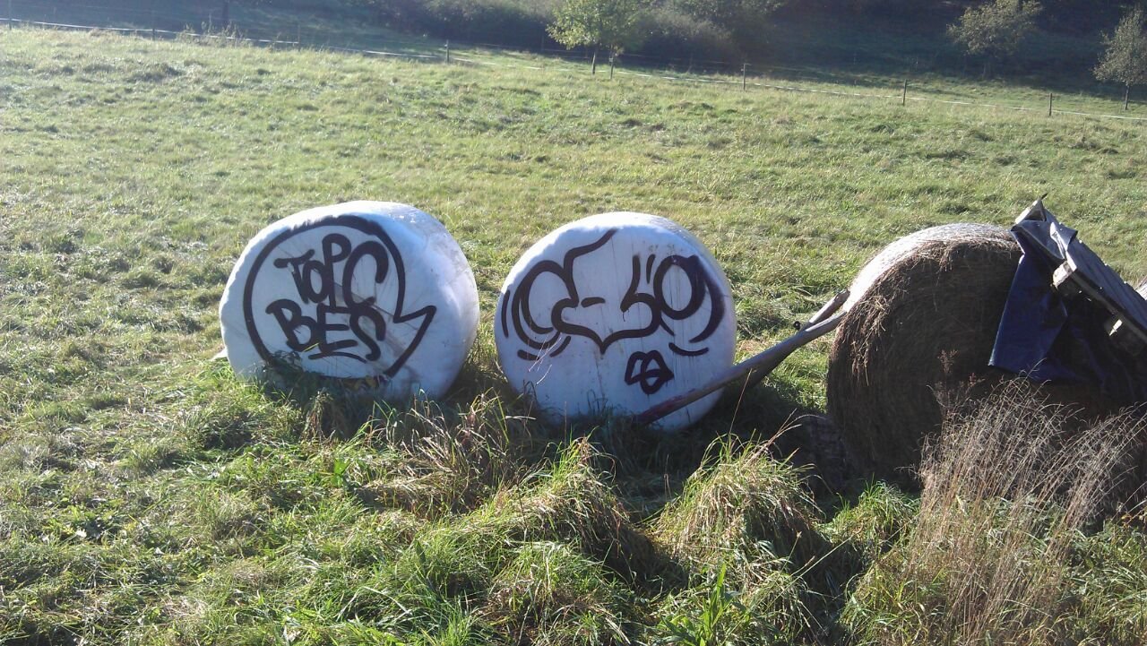 Graffiti Artwork - Photo by notyourdarling - topc, bes (2014)