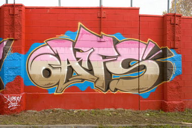 Graffiti Wall - Photo by oafs (2012)