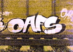 Photo #178346 by MENO