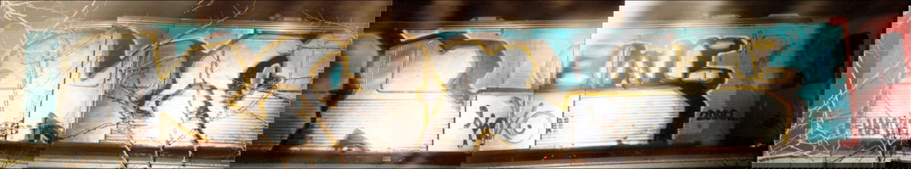 Graffiti Train in Hamburg - Photo by ohhgoodstuff