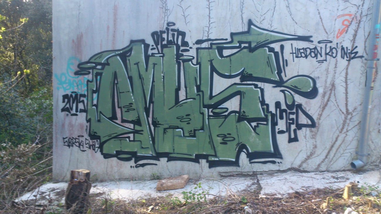 Graffiti Bombing - Photo by okayone