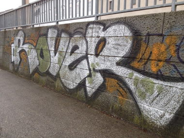 Graffiti Bombing in Linz - Photo by okeey - Rover (2015)