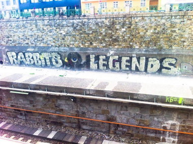 Graffiti Bombing in Wien - Photo by okeey - Rabbits, Legends