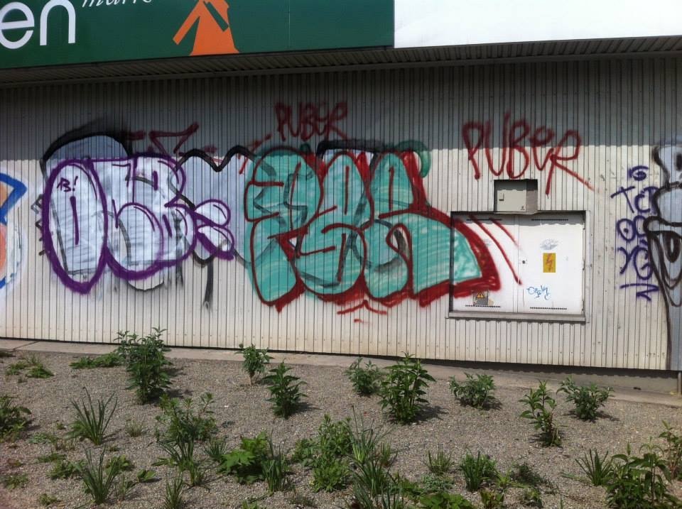 Graffiti Bombing in Wien - Photo by okeey - OCB, PBR, Puber