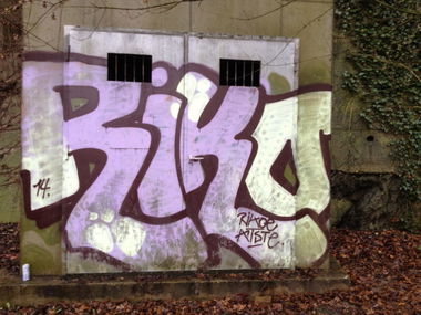 Graffiti Bombing in Linz - Photo by okeey - Riko