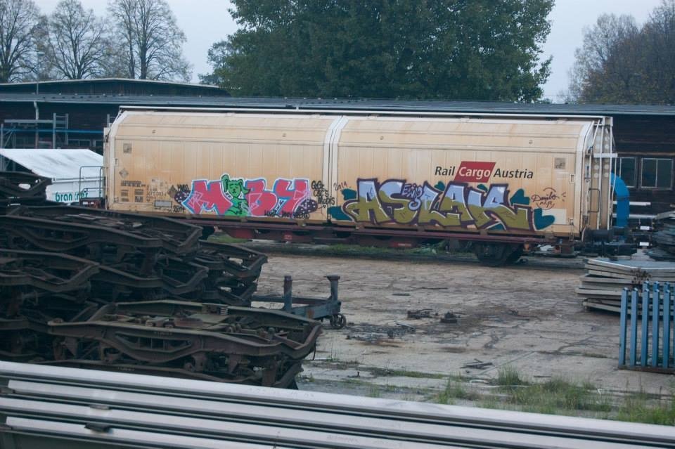 Graffiti Train in Wien - Photo by okeey - Aslak