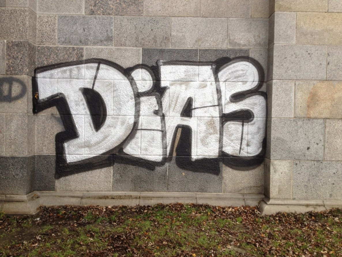Graffiti Bombing in Linz - Photo by okeey - Dias (2015)