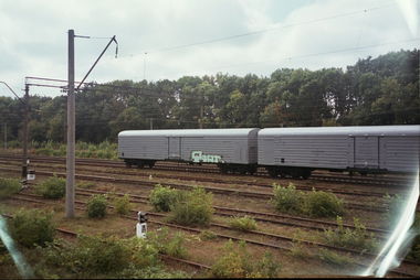 Graffiti Train - Photo by okis12 - okis (2013)