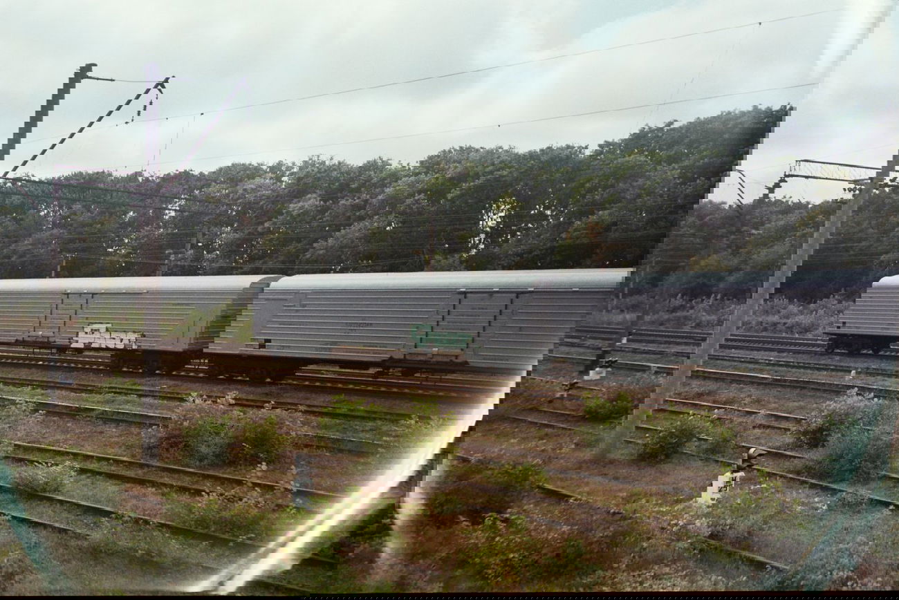 Graffiti Train - Photo by okis12 - okis (2013)