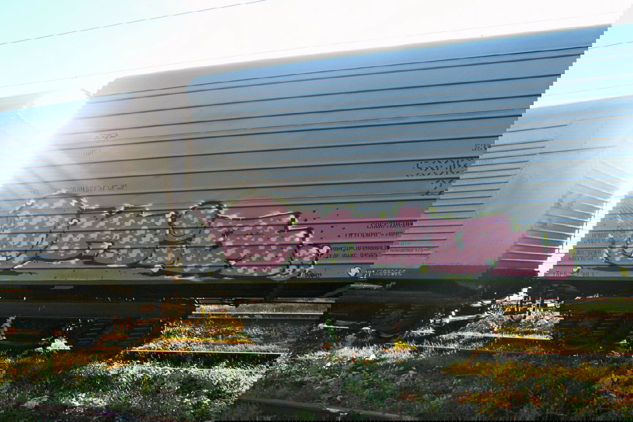 Graffiti Train in Fastiv - Photo by okis12 - okis (2013)