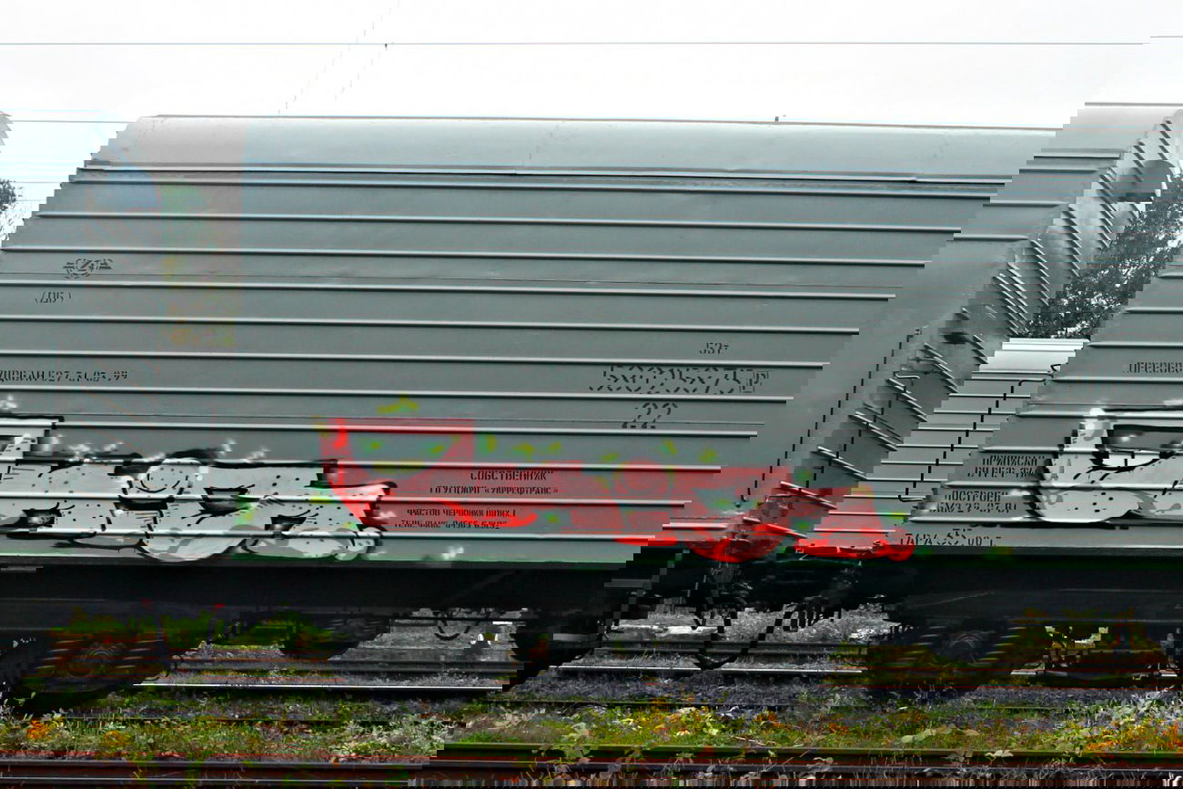 Graffiti Train - Photo by okis12