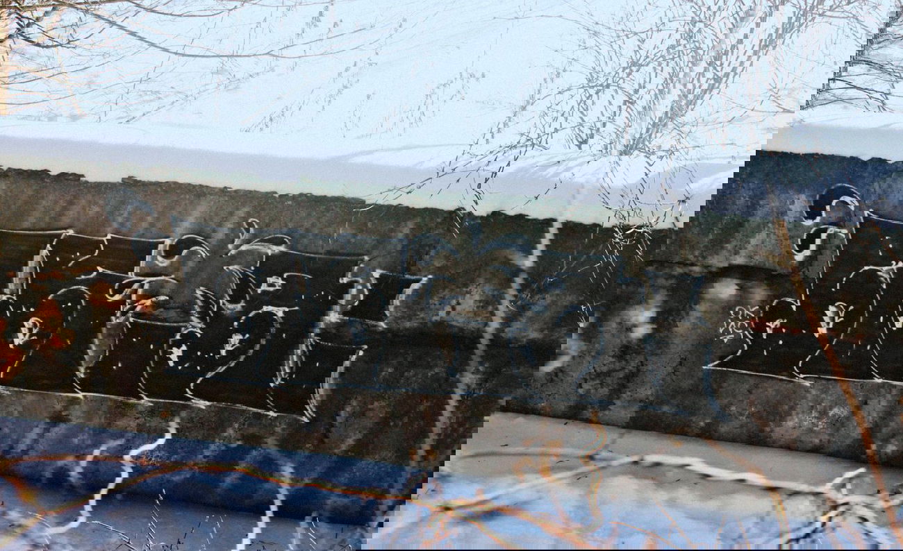 Graffiti Wall - Photo by okis12 - okis96 (2014)