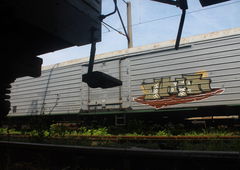 Photo #135303 by tvae