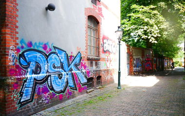 Graffiti Bombing - Photo by oldenburgcity - psk (2015)