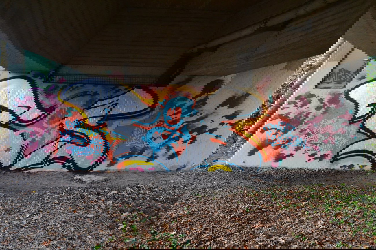 Graffiti Bombing - Photo by oldenburgcity - tgs (2015)