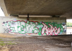 Graffiti Bombing - Photo by oldenburgcity - teik, teig, teich (2015)