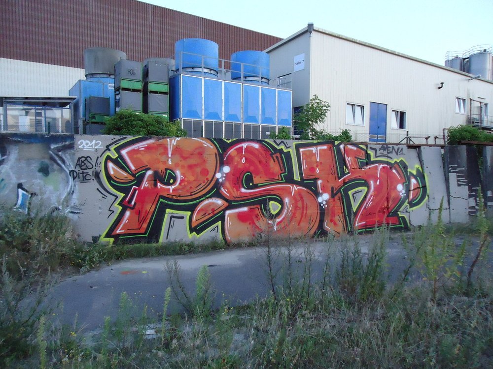 Graffiti Bombing in Oldenburg - Photo by oldenburgcity - psk (2012)